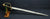 AMERICAN CIVIL WAR PERIOD M1850 FIELD OFFICER'S SWORD