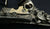 FRENCH NAPOLEONIC AN XIII CAVALRY PISTOL DATED 1810
