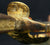 FRENCH RESTORATION PERIOD GENERAL OFFICER'S SWORD CA.1820