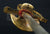 FRENCH RESTORATION PERIOD GENERAL OFFICER'S SWORD CA.1820