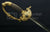 FRENCH RESTORATION PERIOD GENERAL OFFICER'S SWORD CA.1820