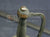 US M1840 NCO SWORD BY CLAUBERG - CIVIL WAR IMPORT