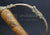 GERMAN HUNTING HIRSCHFANGER SWORD CA.1730