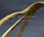 FRENCH AN XI STYLE LIGHT CAVALRY OFFICER'S SWORD ca.1840s