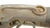 US CIVIL WAR UNION CAVALRY SMITH CARBINE