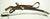 AMERICAN JUNIOR GRADE OFFICER'S EAGLE POMMEL SWORD AND BELT CA.1810