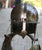 POLISH HUSSAR'S 17TH C. ARMOR VICTORIAN MINIATURE