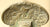 FRENCH SMALL-SWORD OF FINE QUALITY CA.1740