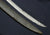 AMERICAN REVOLUTIONARY WAR OFFICER'S IRON-HILTED SABER CA.1776