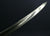 ITALIAN 1855 CAVALRY OFFICER'S SWORD WITH SUPERB BLADE ETCH